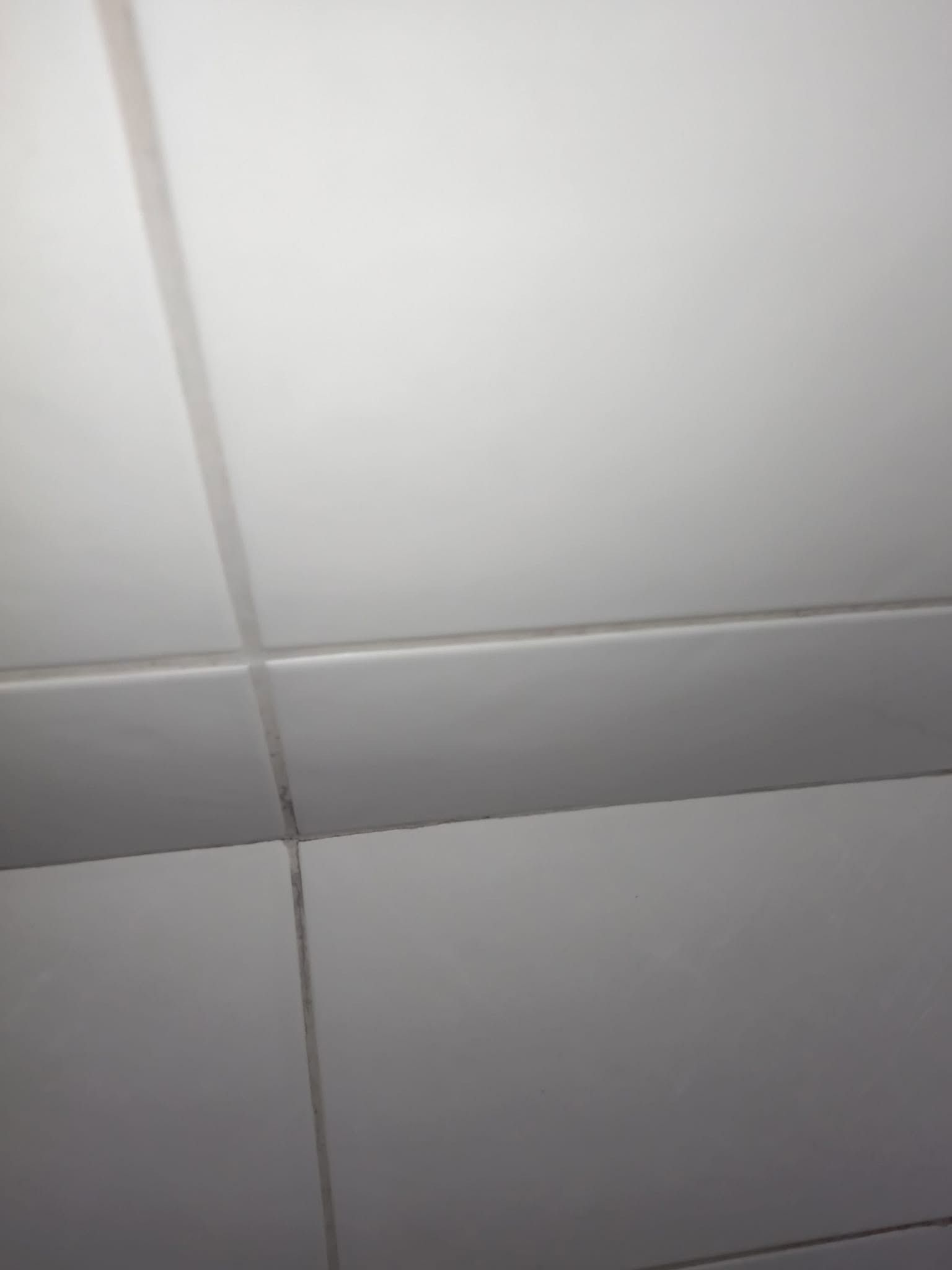 Douchetegels met heldere voegen na de schoonmaak