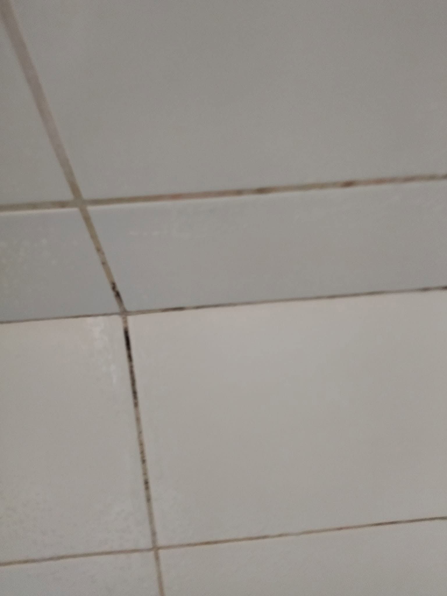 Douchetegels met donkere, vuile voegen voor de schoonmaak